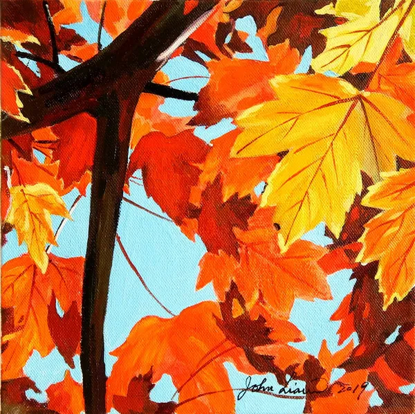 秋色 Autumn colours